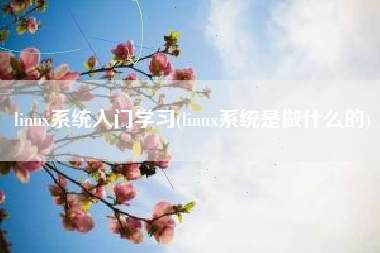 linux系统入门学习(linux系统是做什么的)