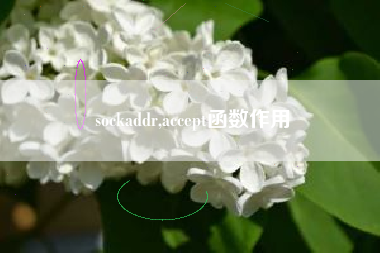 sockaddr,accept函数作用