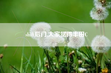 shift后门,大家觉得丰田C