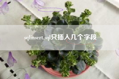sqlinsert,sql只插入几个字段