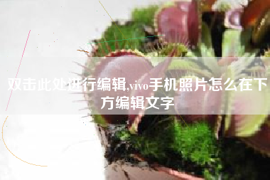双击此处进行编辑,vivo手机照片怎么在下方编辑文字