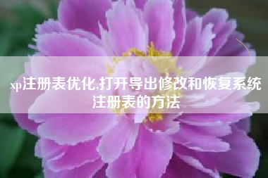 xp注册表优化,打开导出修改和恢复系统注册表的方法