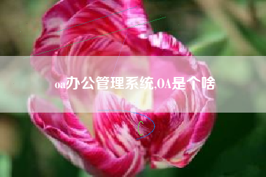 oa办公管理系统,OA是个啥