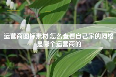 运营商图标素材,怎么查看自己家的网络是哪个运营商的