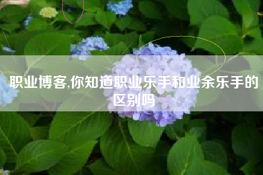 职业博客,你知道职业乐手和业余乐手的区别吗