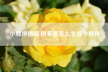 小程序图标,拼多多怎么生成小程序
