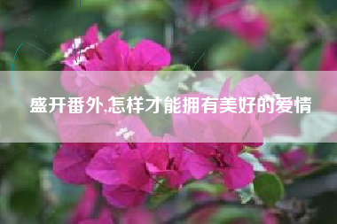 盛开番外,怎样才能拥有美好的爱情