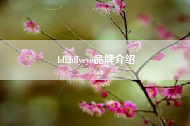 bff,bffyeye品牌介绍