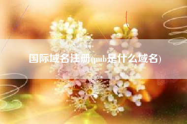 国际域名注册(pub是什么域名)
