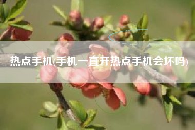 热点手机(手机一直开热点手机会坏吗)