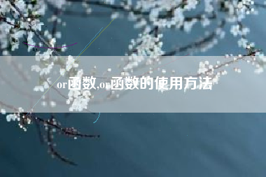 or函数,or函数的使用方法