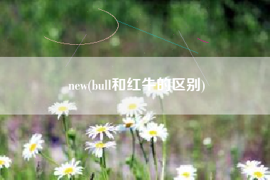 new(bull和红牛的区别)