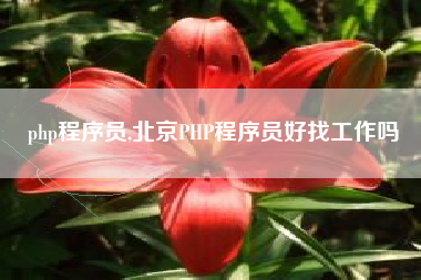 php程序员,北京PHP程序员好找工作吗