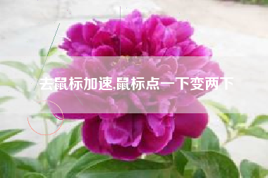 去鼠标加速,鼠标点一下变两下