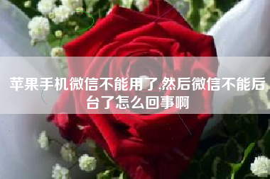 苹果手机微信不能用了,然后微信不能后台了怎么回事啊