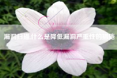 漏洞扫描,什么是降低漏洞严重性的措施