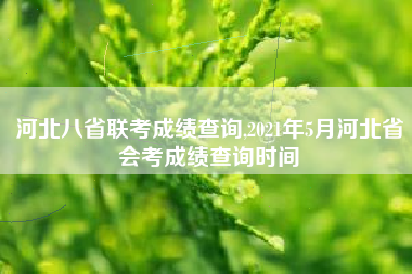河北八省联考成绩查询,2021年5月河北省会考成绩查询时间
