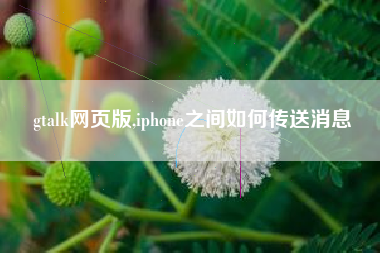 gtalk网页版,iphone之间如何传送消息