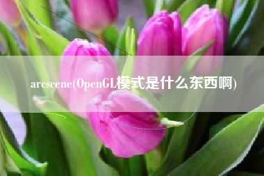 arcscene(OpenGL模式是什么东西啊)