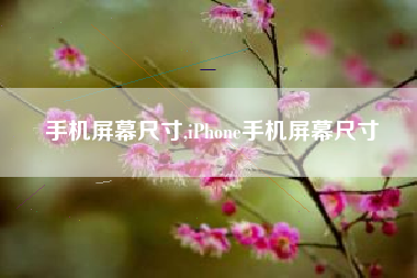 手机屏幕尺寸,iPhone手机屏幕尺寸