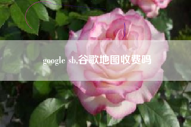 google sb,谷歌地图收费吗