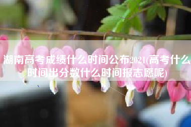 湖南高考成绩什么时间公布2021(高考什么时间出分数什么时间报志愿呢)