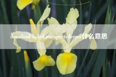 download failed,unexpectederror什么意思
