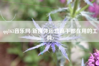 qq163音乐网(新媒体运营高手都在用的工具)