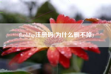flashfxp注册码(为什么删不掉)