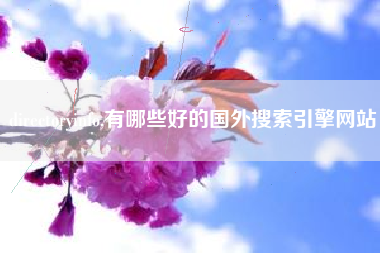 directoryinfo,有哪些好的国外搜索引擎网站