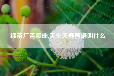 绿茶广告歌曲,天生天养国语叫什么