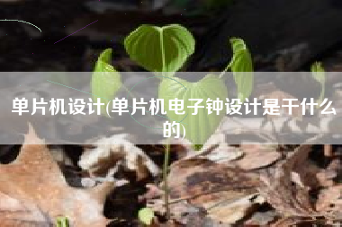 单片机设计(单片机电子钟设计是干什么的)
