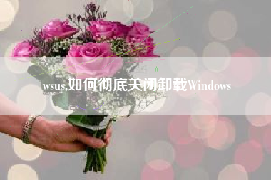 wsus,如何彻底关闭卸载Windows