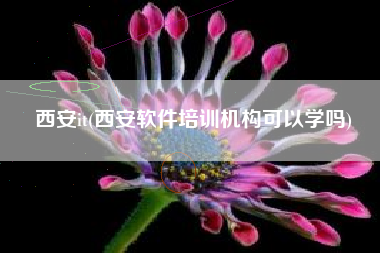 西安it(西安软件培训机构可以学吗)