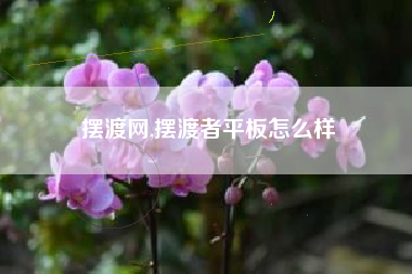 摆渡网,摆渡者平板怎么样