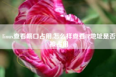 linux查看端口占用,怎么样查看IP地址是否被占用