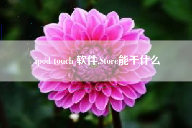 ipod touch 软件,Store能干什么