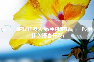 android游戏开发大全(手机游戏app一般用什么语言开发)