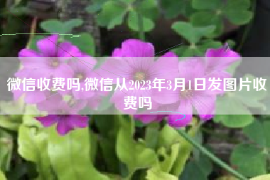 微信收费吗,微信从2023年3月1日发图片收费吗