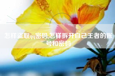 怎样盗取qq密码,怎样拆开自己王者的账号和密码