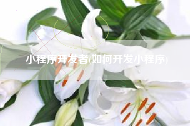 小程序开发者(如何开发小程序)