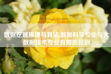 数据挖掘原理与算法,数据科学专业与大数据技术专业有哪些区别