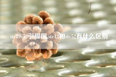 stc89c52引脚图,stc12和stc52有什么区别