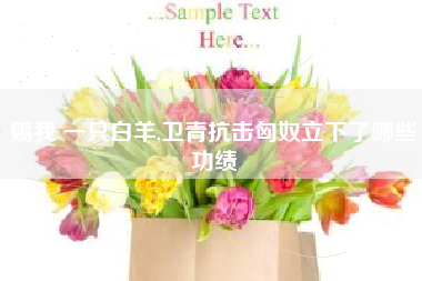 赐我 一只白羊,卫青抗击匈奴立下了哪些功绩