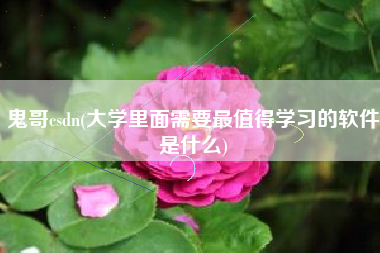 鬼哥csdn(大学里面需要最值得学习的软件是什么)