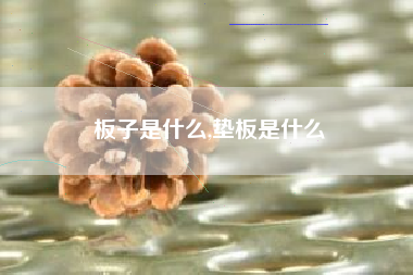 板子是什么,垫板是什么