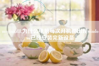 msgina.dll,为什么电脑每次开机都出现windows已经安装完新设备