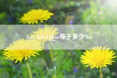 f(x) 1cm,1gfcm等于多少Nm