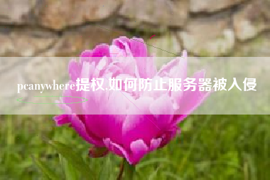 pcanywhere提权,如何防止服务器被入侵