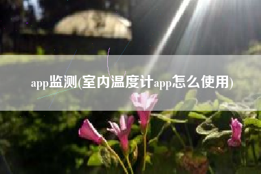 app监测(室内温度计app怎么使用)